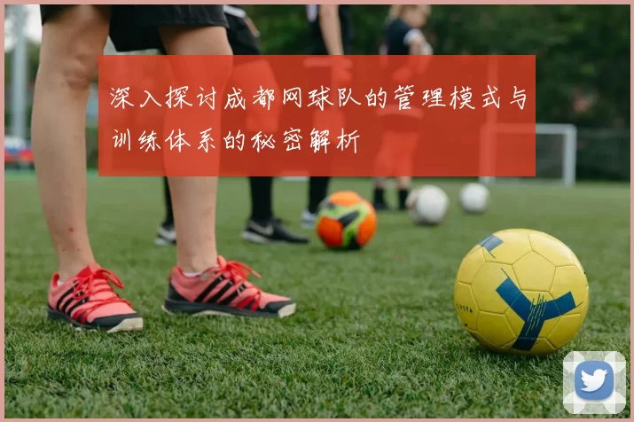 深入探讨成都网球队的管理模式与训练体系的秘密解析
