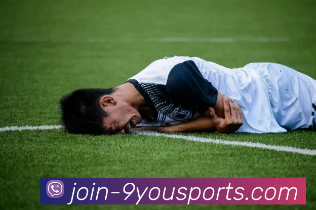 九游体育官方网站APP 封面图